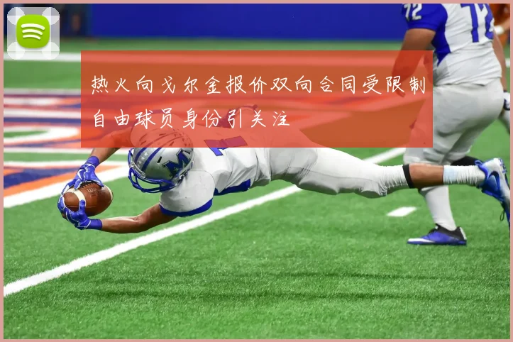 热火向戈尔金报价双向合同受限制自由球员身份引关注