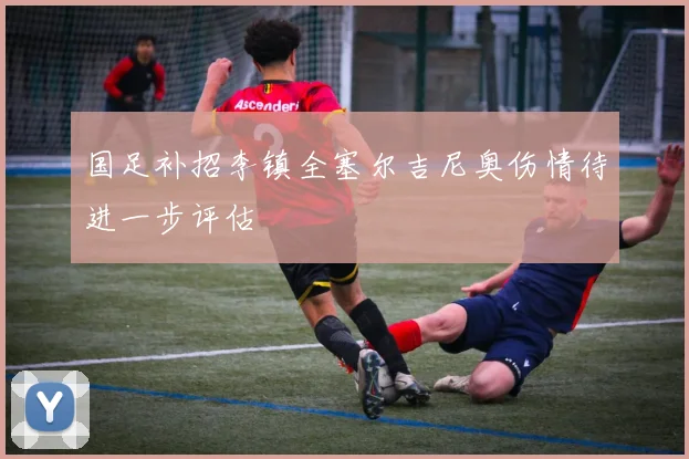 国足补招李镇全塞尔吉尼奥伤情待进一步评估