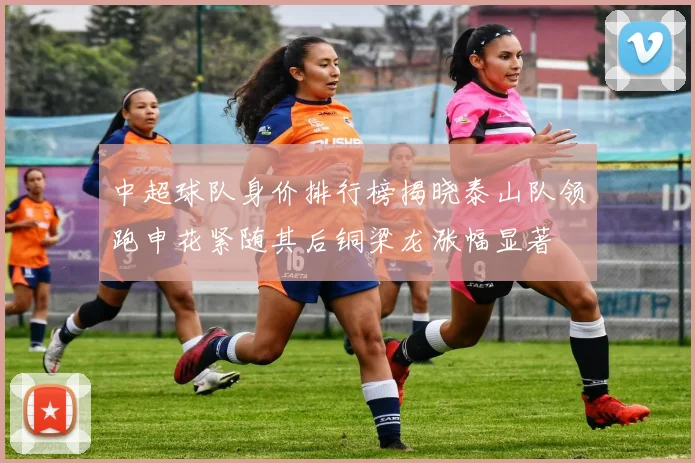 中超球队身价排行榜揭晓泰山队领跑申花紧随其后铜梁龙涨幅显著